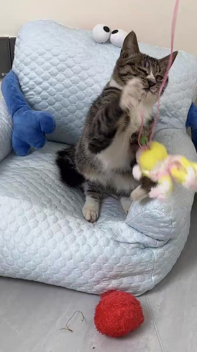 Walfront Octopus Door-Hanging Cat Wand Toy – Interactive Teaser with Swinging Tentacles, Hands-Free Self-Play Toy for Indoor Cats & Boredom Relief