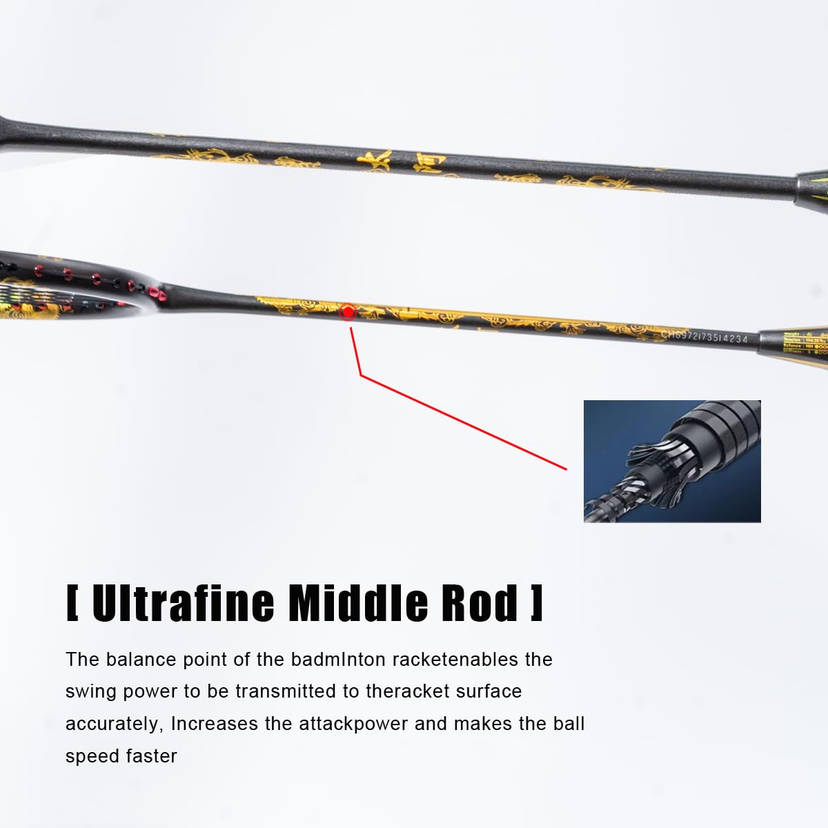 Amazon | ALPSPORT TAJ 4U G5 Max 35ポンド 800T ゴールデンドラゴンと