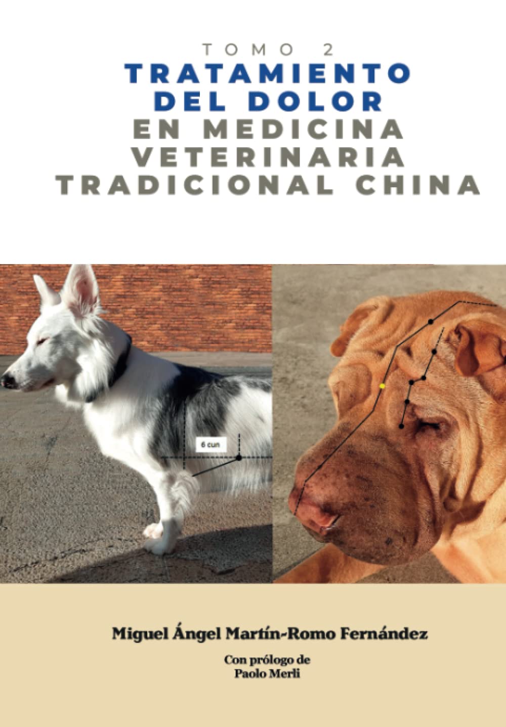 Tratamiento del Dolor en Medicina Veterinaria Tradicional China: Medicina Veterinaria Tradicional China - Tomo 2