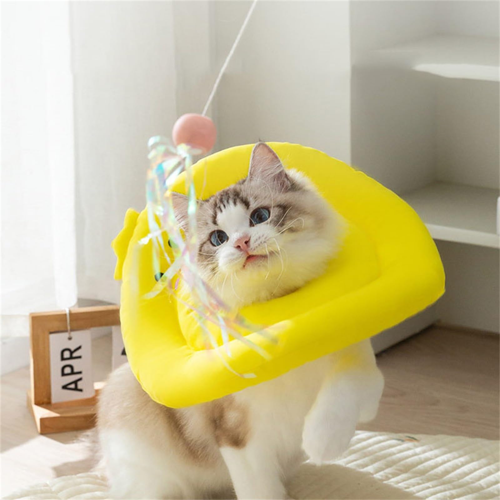 〆近々再出品！ペット回復首輪 後に手術小型犬猫用ペットの猫回復首輪パターンソフト Amazon.co.jp: 猫コーン 猫の回復首輪 - 手術後のかわいい首猫コーン