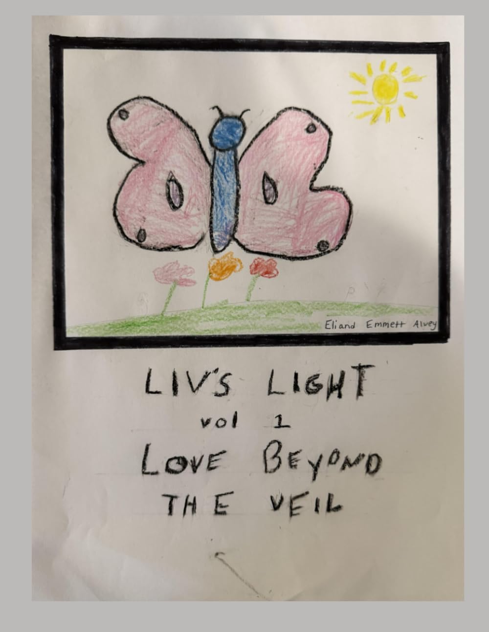 Liv's Light: Love Beyond The Veil