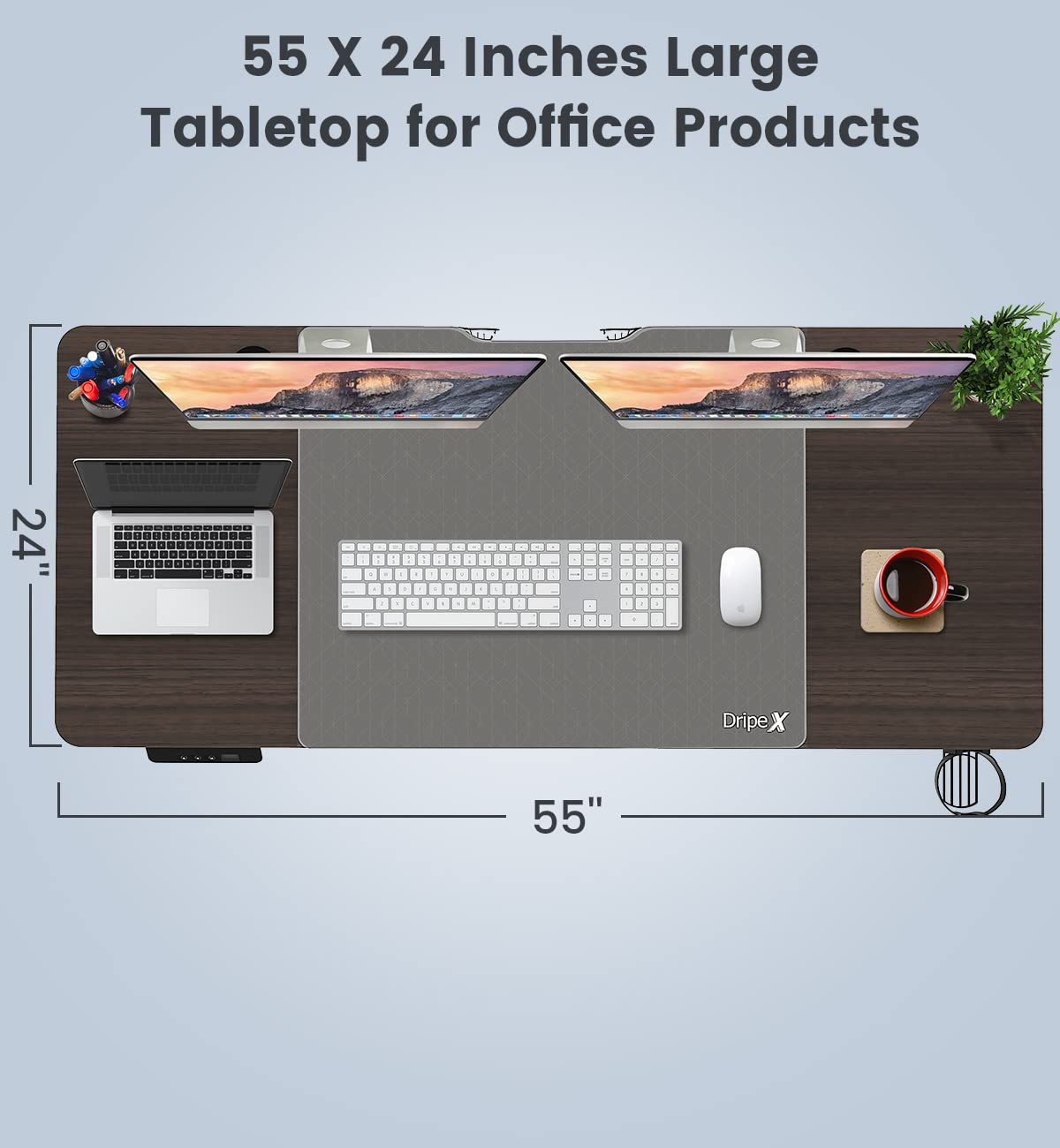 Standing Desk Adjustable Height Table, 55x24 Inches Electric Sit Stand