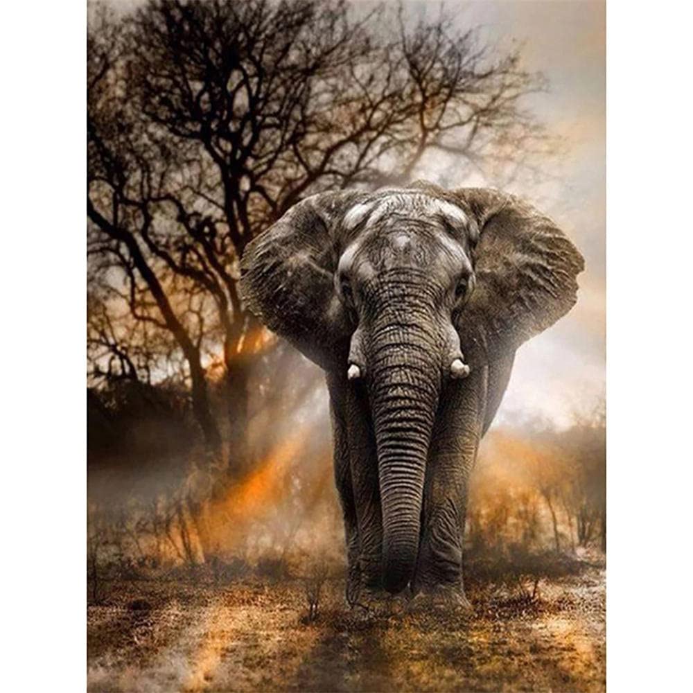Kit per Diamond Painting 5D Completo Pittura Diamante 5d Fai Da Te Adulti /Bambini,Elefante Large Strass Mosaico Ricamo a Punto Croce Arte e Artigianato for Home Wall Decor Murale Round_Drill_60x120cm