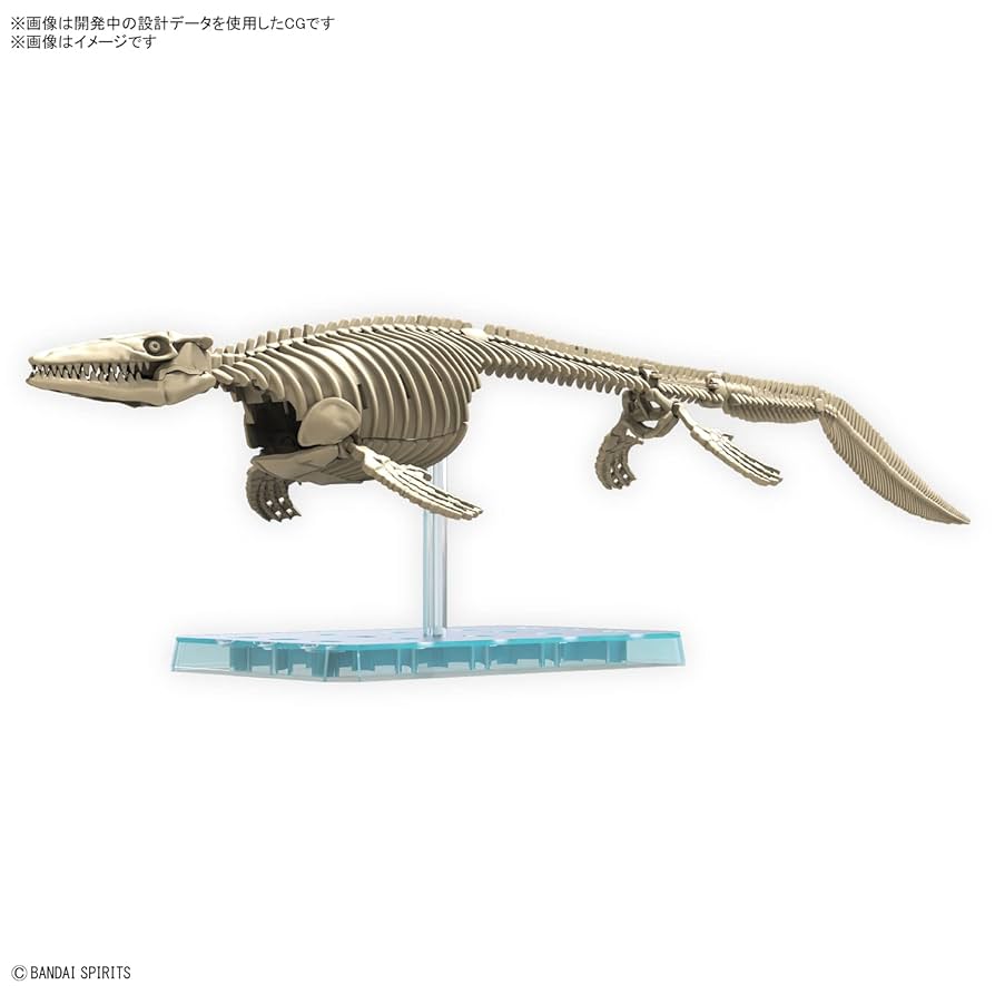 【塗装済完成品】バンダイ　モササウルス　プラモデル よみがえる海生爬虫類「1/32 Imaginary Skeleton モササウルス