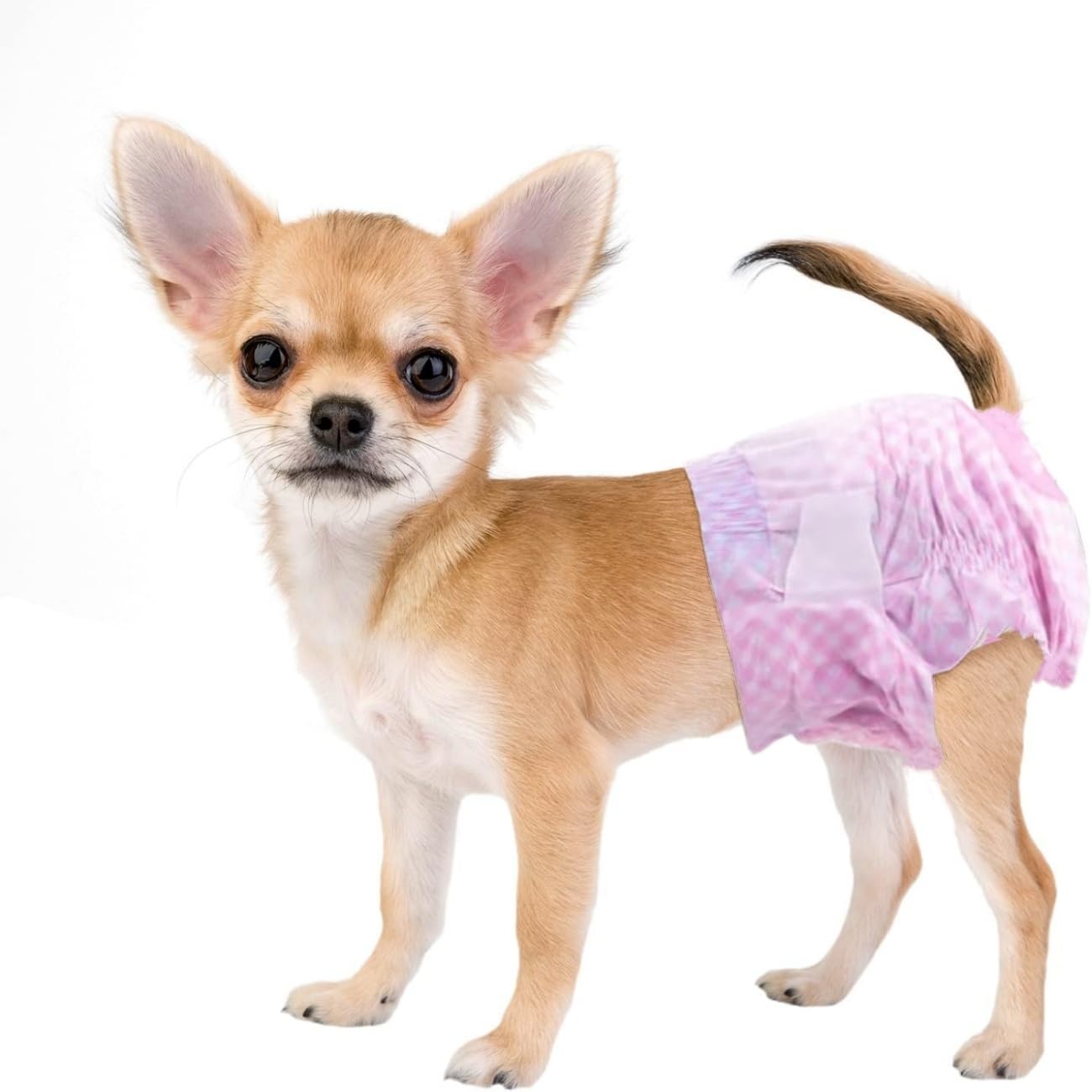 Mumoo Bear Disposable Dog Diapers Female, Super Absorbent Doggie Diaper, Flash Dry Gel Technology Puppy Diapers, Leak-Proof Fit Cat Diapers for Doggy in Heat,Excitable Urination,Incontinence,Training