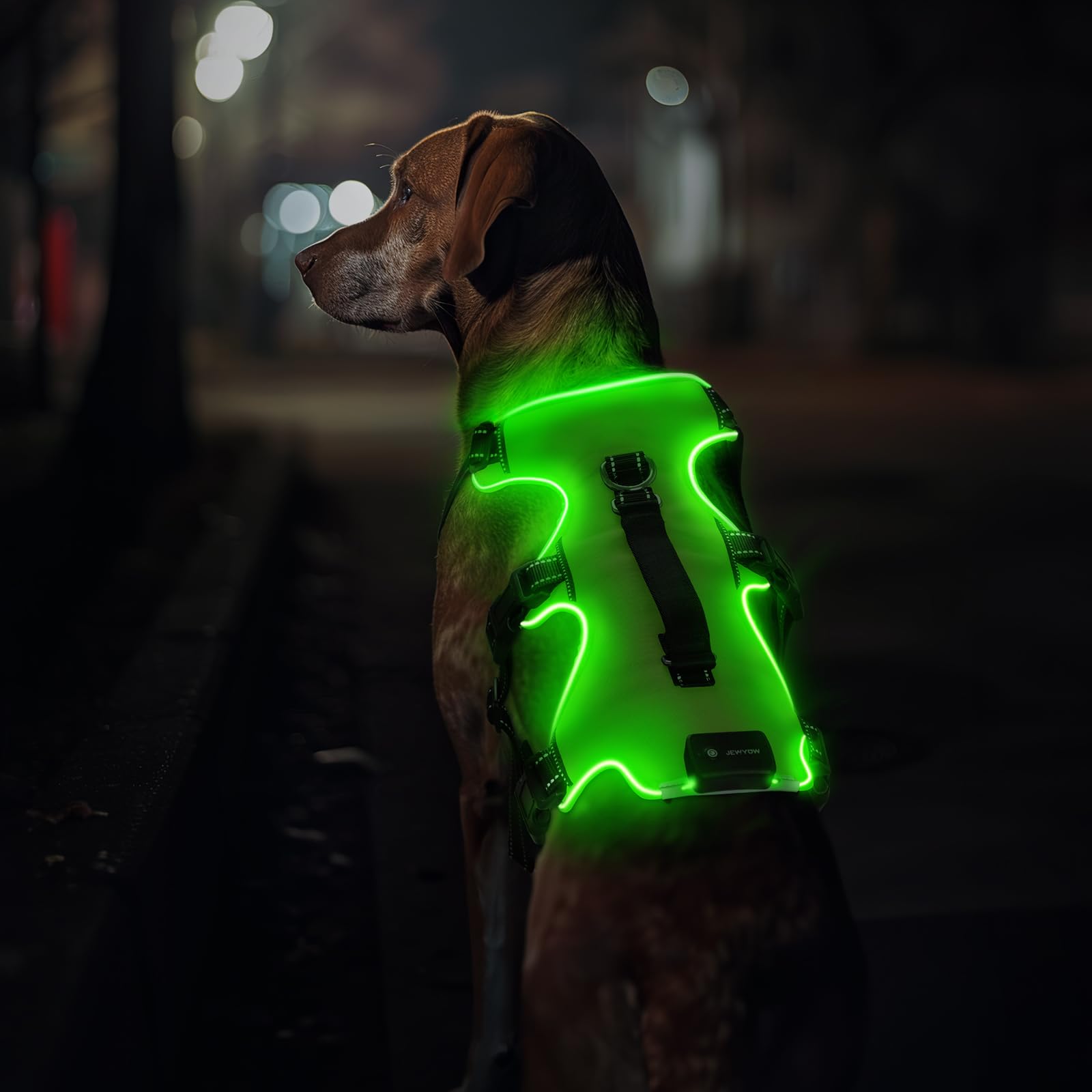 Jewyow Arnés para perro iluminado, reflectante, para perros medianos y grandes, arnés LED recargable con 4 correas ajustables, 3 modos, impermeable para caminar por la noche, lluvia, verde, M