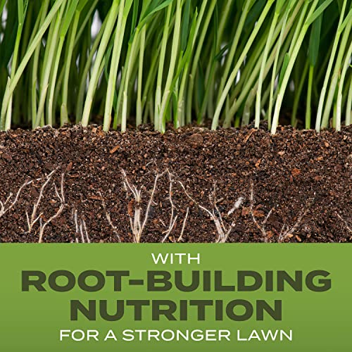Grass Seed Blends For Sandy Soil Beach Properties