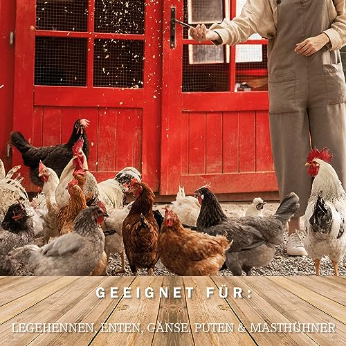 MeineHennen Müsli-Vital 30 kg, Premium Geflügelfutter für Legehennen, Enten, Gänse, Puten, Masthühner, Körnerfutter, Hennenfutter. Alleinfuttermittel für Geflügel