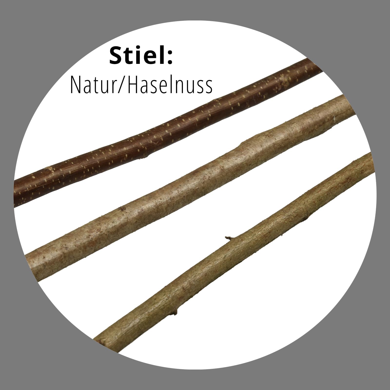 Weidenbese, Reisigbesen Haselnuss/Birke mt Stiel 160 cm · Hexenbesen, auch als Deko