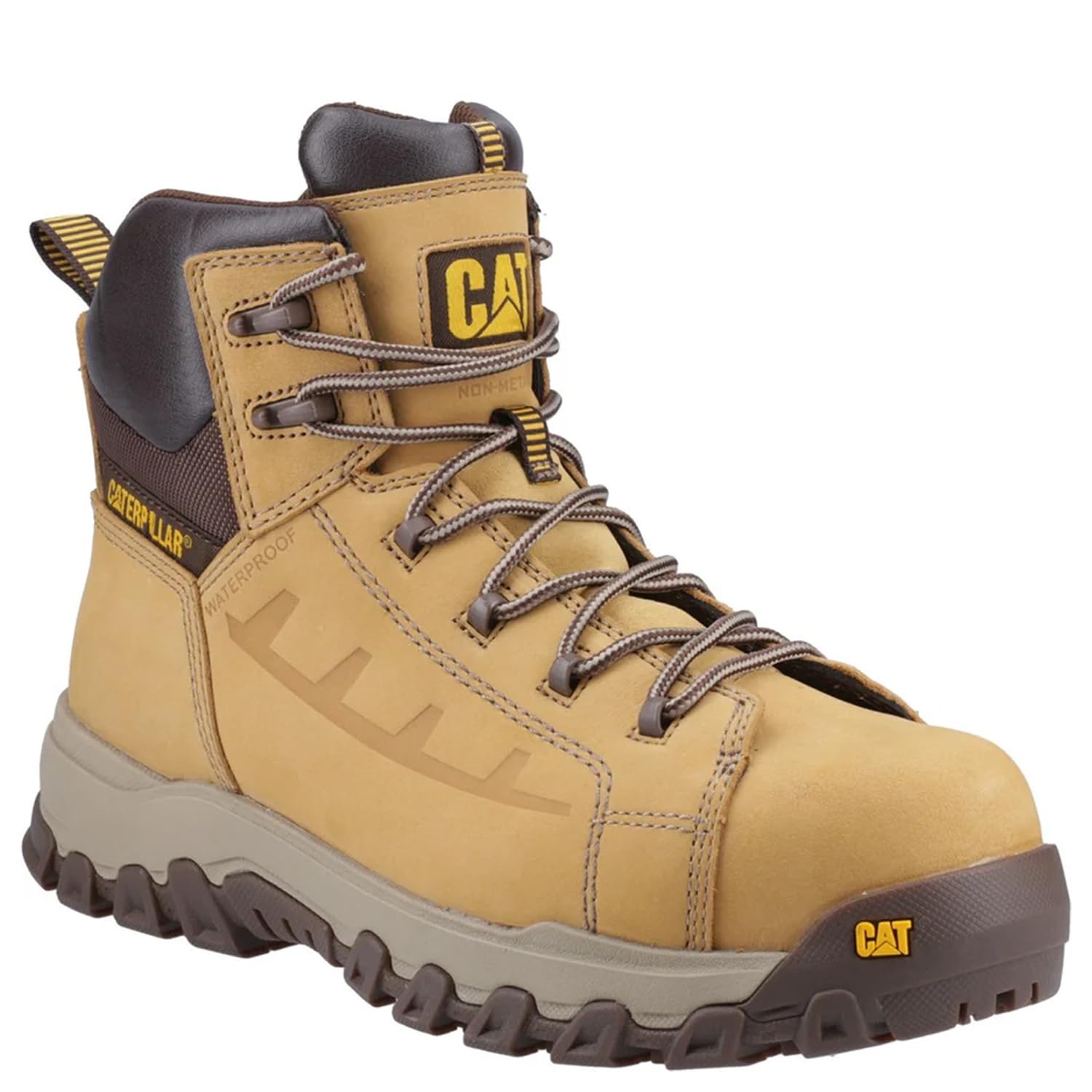 CAT Threshold Rebound Rebote de umbralHombre