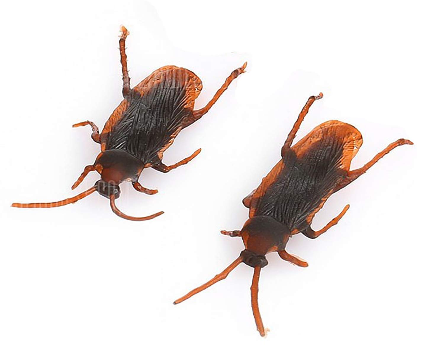 Baal 2 Pcs Looks Real Cockroach Prank Halloween Trick Toys (Pack of 1)