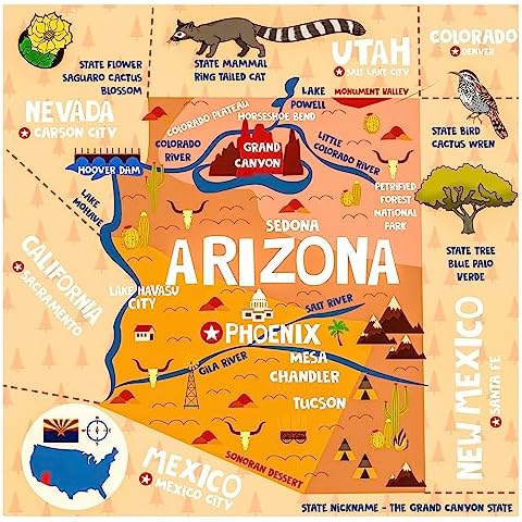 Birdy Boutique Learning Tapestry – Arizona State Map – Lightweight & Easy to Hang – Wall Hanging Canvas to Teach, Learn and Explore State Facts – Show Your State Pride – 60" X 59in" Cover