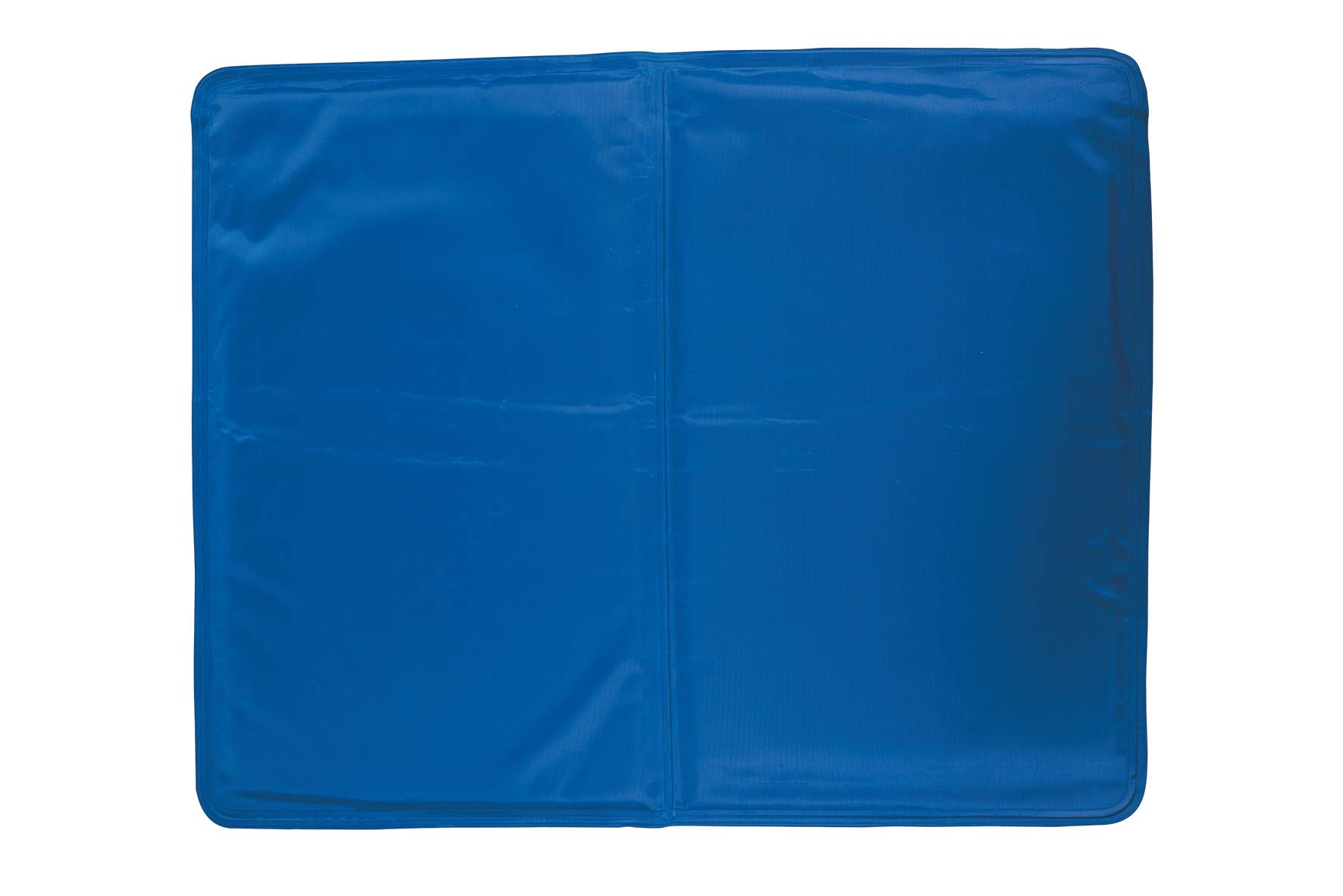 Galileo Casa Puppy Tapis en Gel rafraîchissant, Bleu