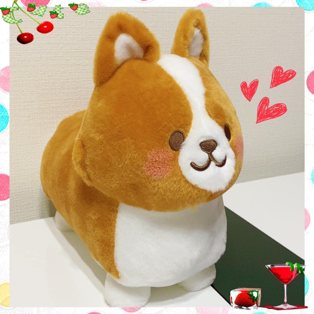 Amazon.co.jp: まるまるコーギー BIGぬいぐるみ（） : おもちゃ