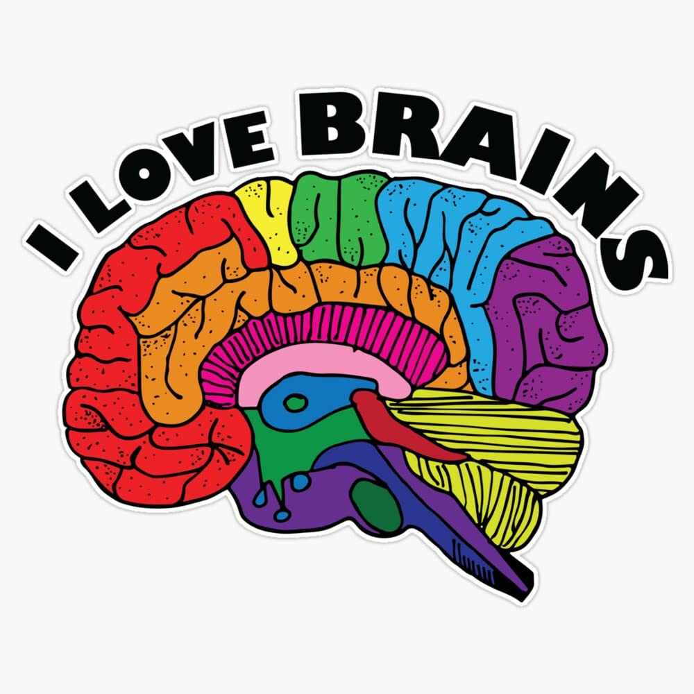 I Love Brains Bumper Sticker Vinyl Decal 5"