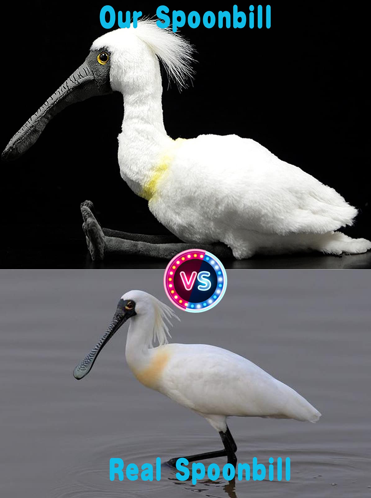 ZHONGXIN MADE Simulation Spoonbill Plush Toy - White Real Life Ibis Bird Simulation Plush Toys, Lifelike Crested Ibis Animals Spoonbill Stuffed Toys Birthday Gifts for Kids, 10.6 Inches - Image 2