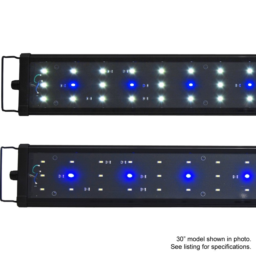 Beamswork Ea Timer 6500k 0 50w Led Aquarium Light Freshwater | Desertcart  Seychelles, image size:1000x1000