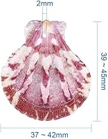 Vista 7 de KISSITTY Cuentas teñidas de concha de mar de playa con agujeros de 1.53 a 1.77 pulgadas de longitud para proyectos de manualidades y manualidades