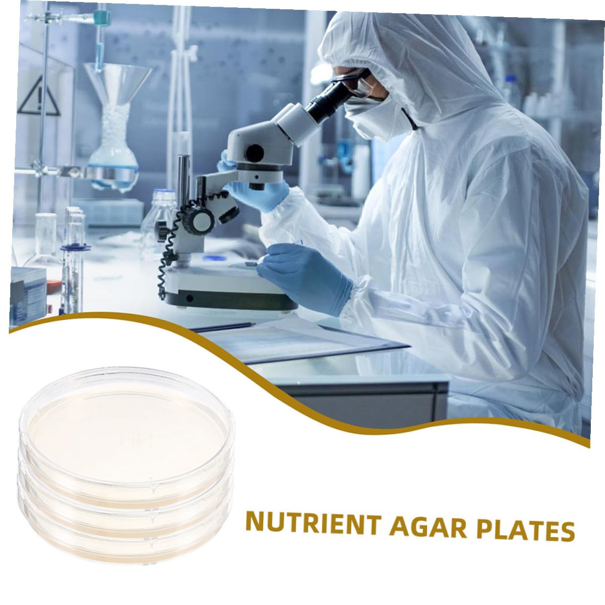 10pcs Nutrient Agar Petri Dishes 6cm Pre-Poured Microbiology Culture Plates for Science Experiments Laboratory Cell Culture and Growth