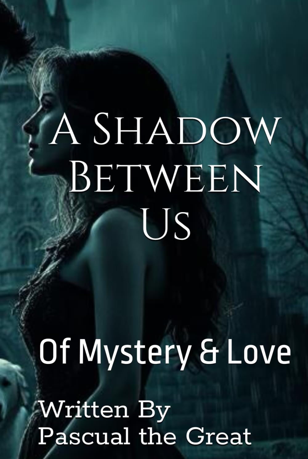 A Shadow Between Us: Of Mystery & Love