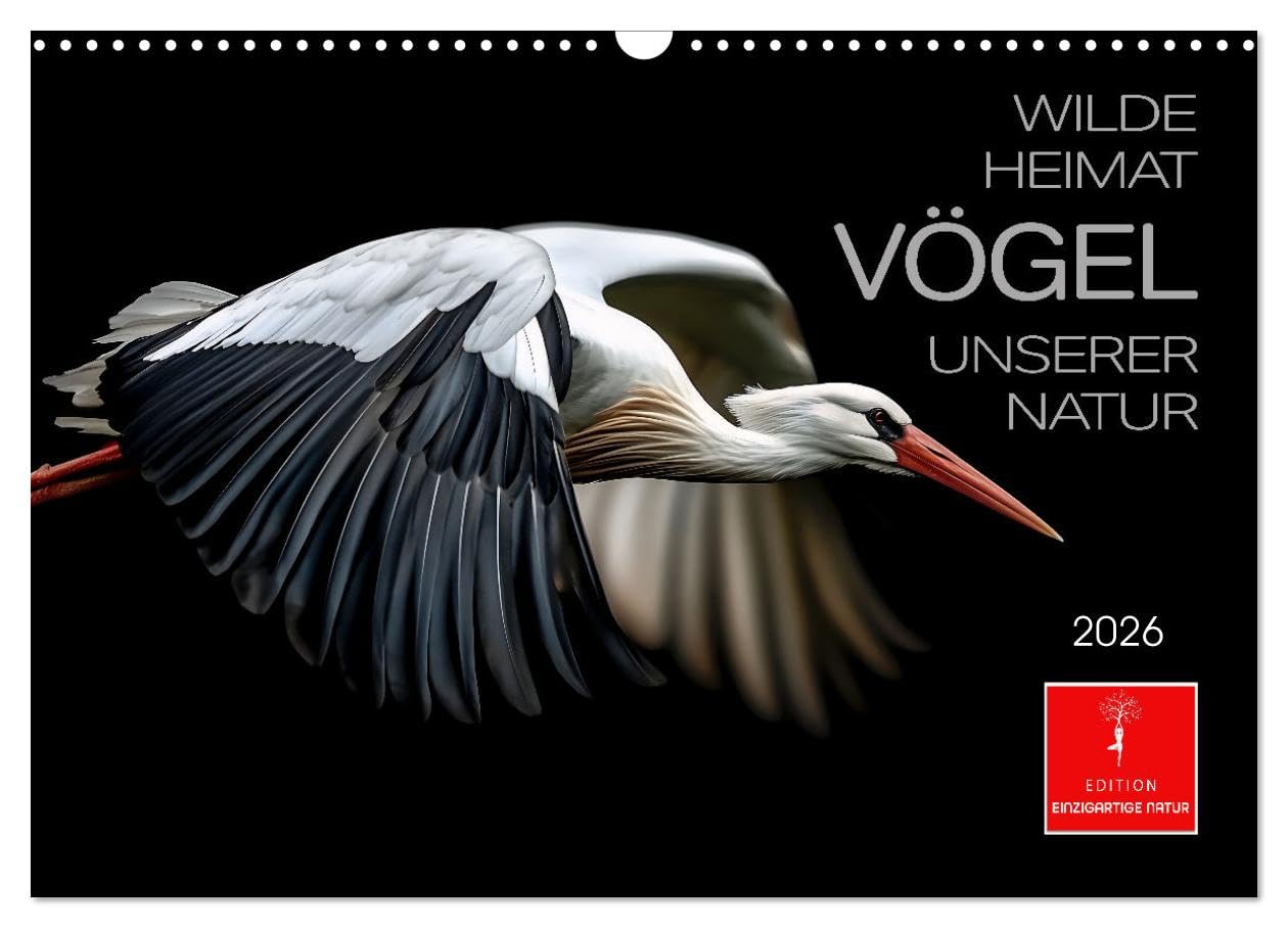 Wild home - birds of our nature UK-Version (Wall Calendar 2026 DIN A3 Landscape), CALVENDO 12 Month Wall Calendar — image 1