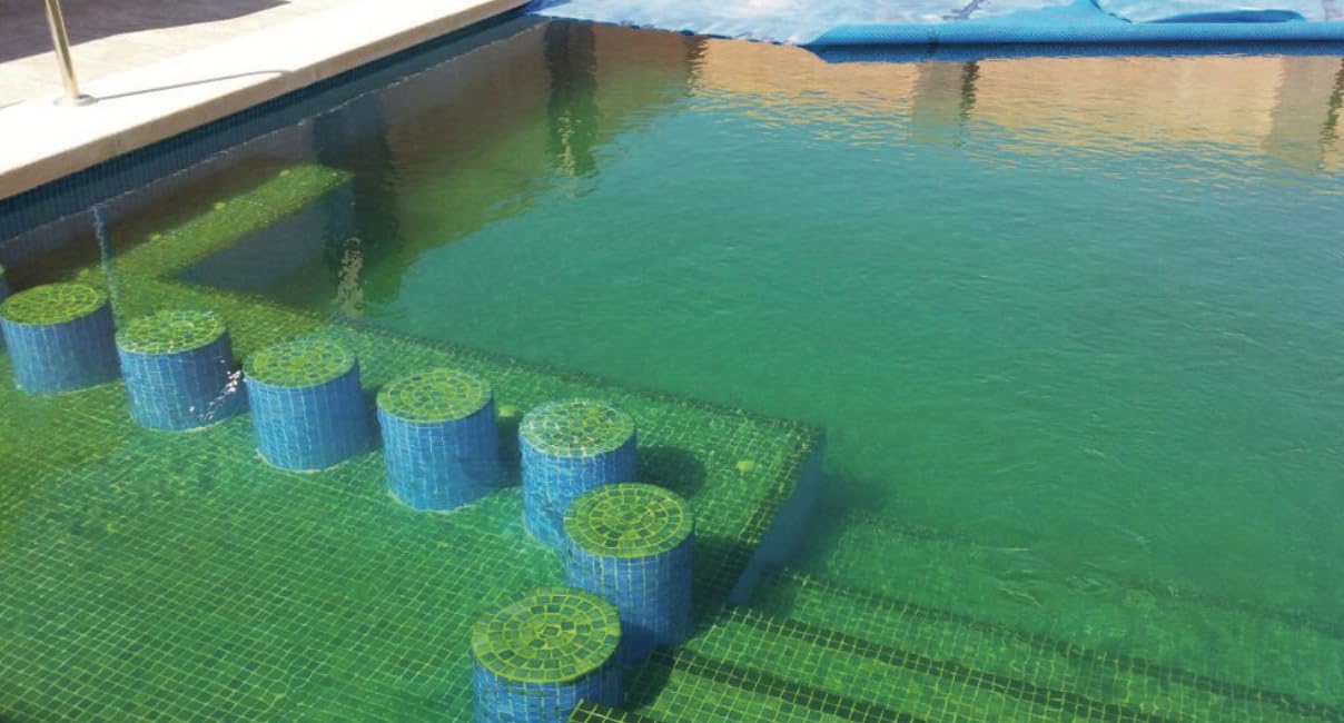 Piscimar Schwimmbadreiniger Phos-Out - Poolreiniger - Flüssigkeit - Phosphate Entferner - Ideal für Salzelektrolyse, Liner und Polyesterbecken