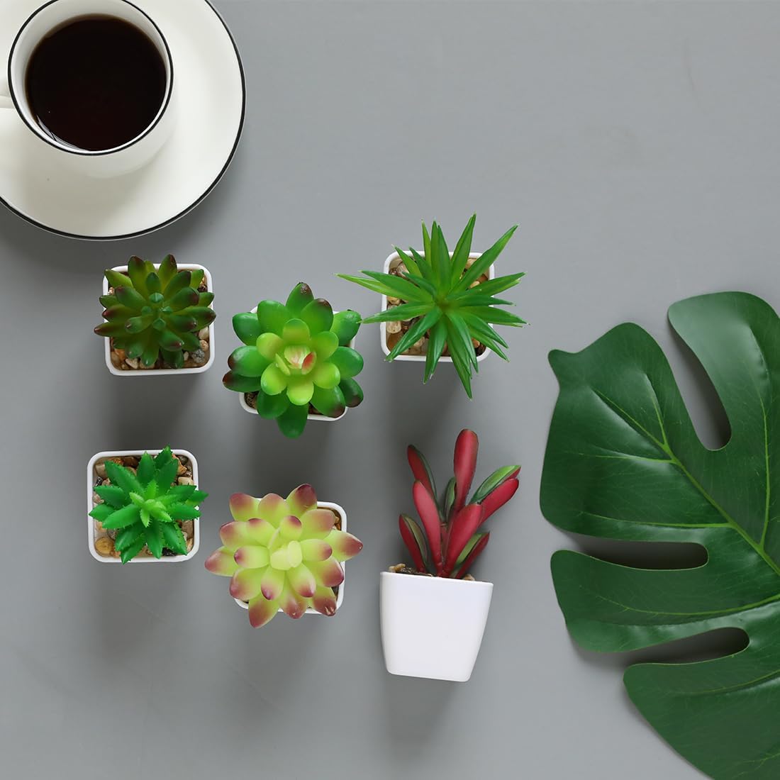 Nubry Mini Fake Plants in Small Succulents Potted Ceramic Pots Artificial Faux Assorted Lifelike Plants for Home Office Desk Decor, Set of 6(White Pots)