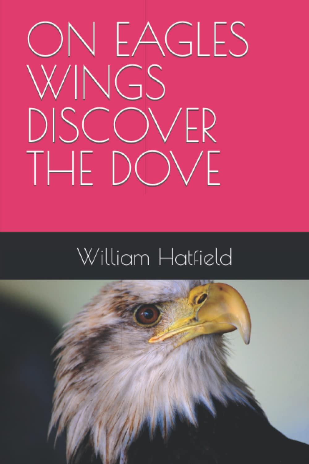 ON EAGLES WINGS DISCOVER THE DOVE