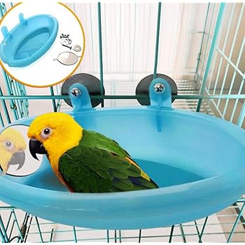 Hpybest Baignoire Pour Perroquet Avec Miroir Pour Cage D Animal Domestique Amazon Fr Cuisine Maison