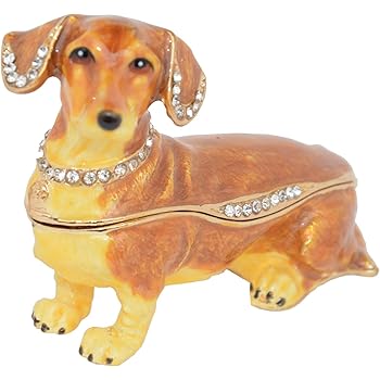 chicken and dog seizures