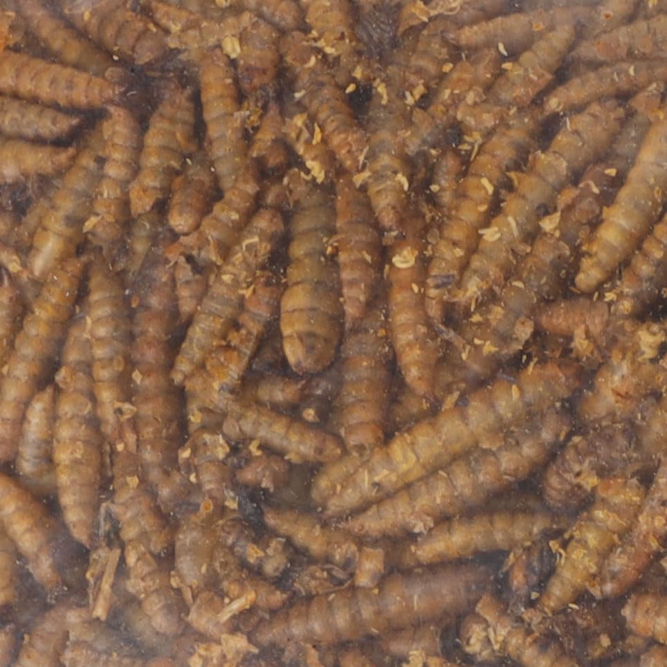 Flamingo 4 Seasons Black Soldier Fly gedroogde larven 100gr - voor buitenvogels - Afbeelding 3