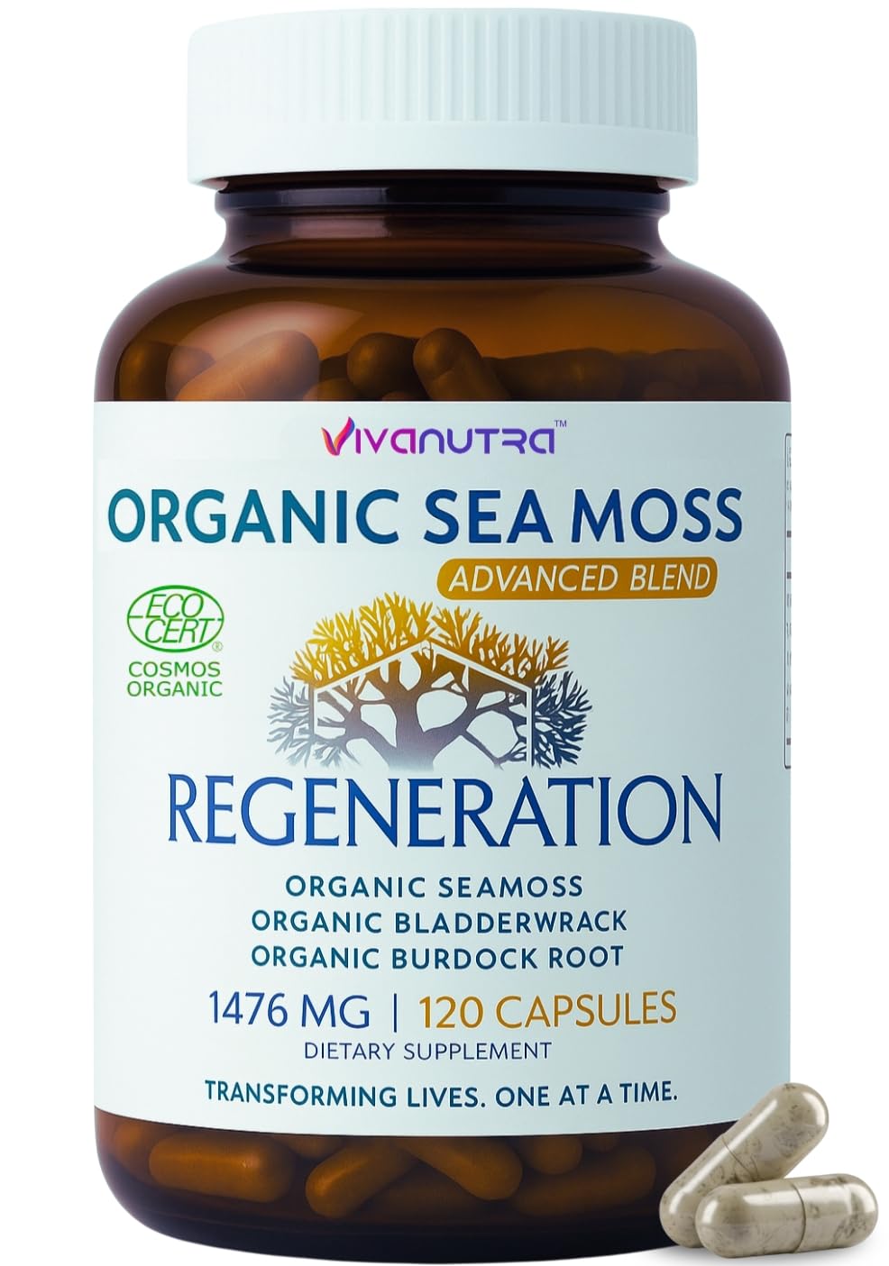 Vivanutra Sea Moss capsules