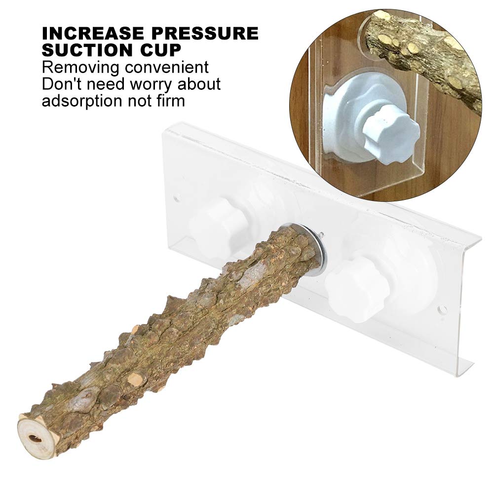 Tbest Perches,20CM Pet Bird Shower Standing Rod S Outdoor Portable Wood Perch with Suction Cup