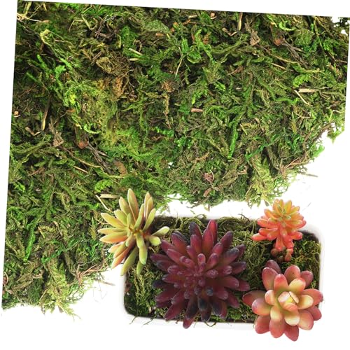 Unomor Decorative Craft Moss for Fake Plants Indoor Vibrant Green Faux Moss for Floral Arrangements Home Decor Creative Projects