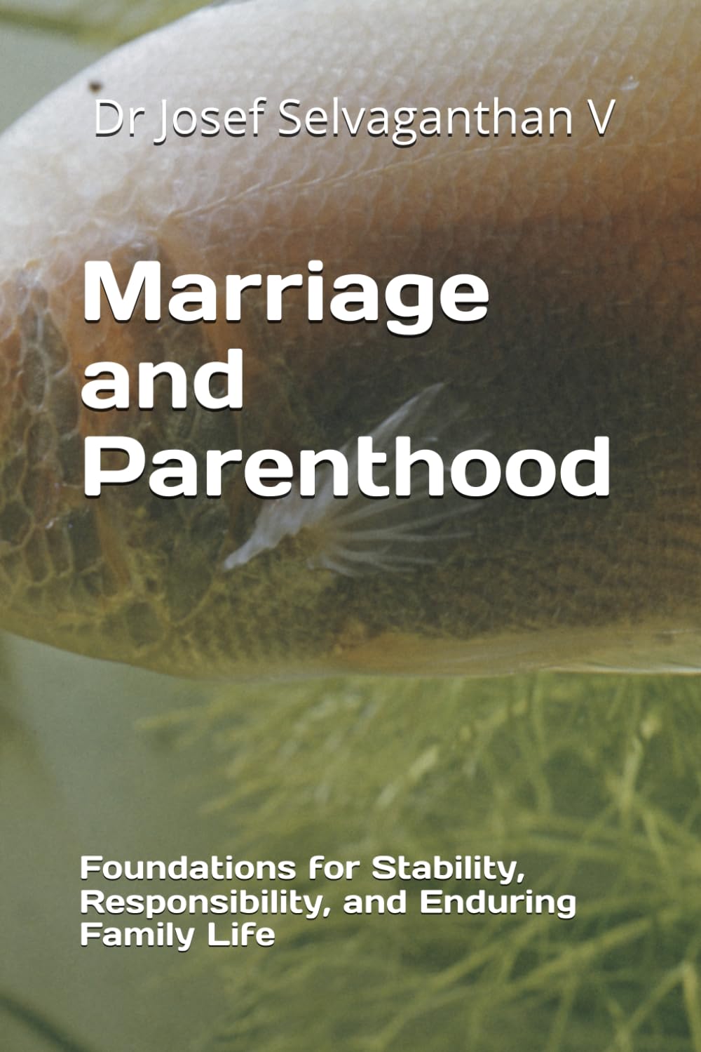 Marriage and Parenthood: Foundations for Stability, Responsibility, and Enduring Family Life
