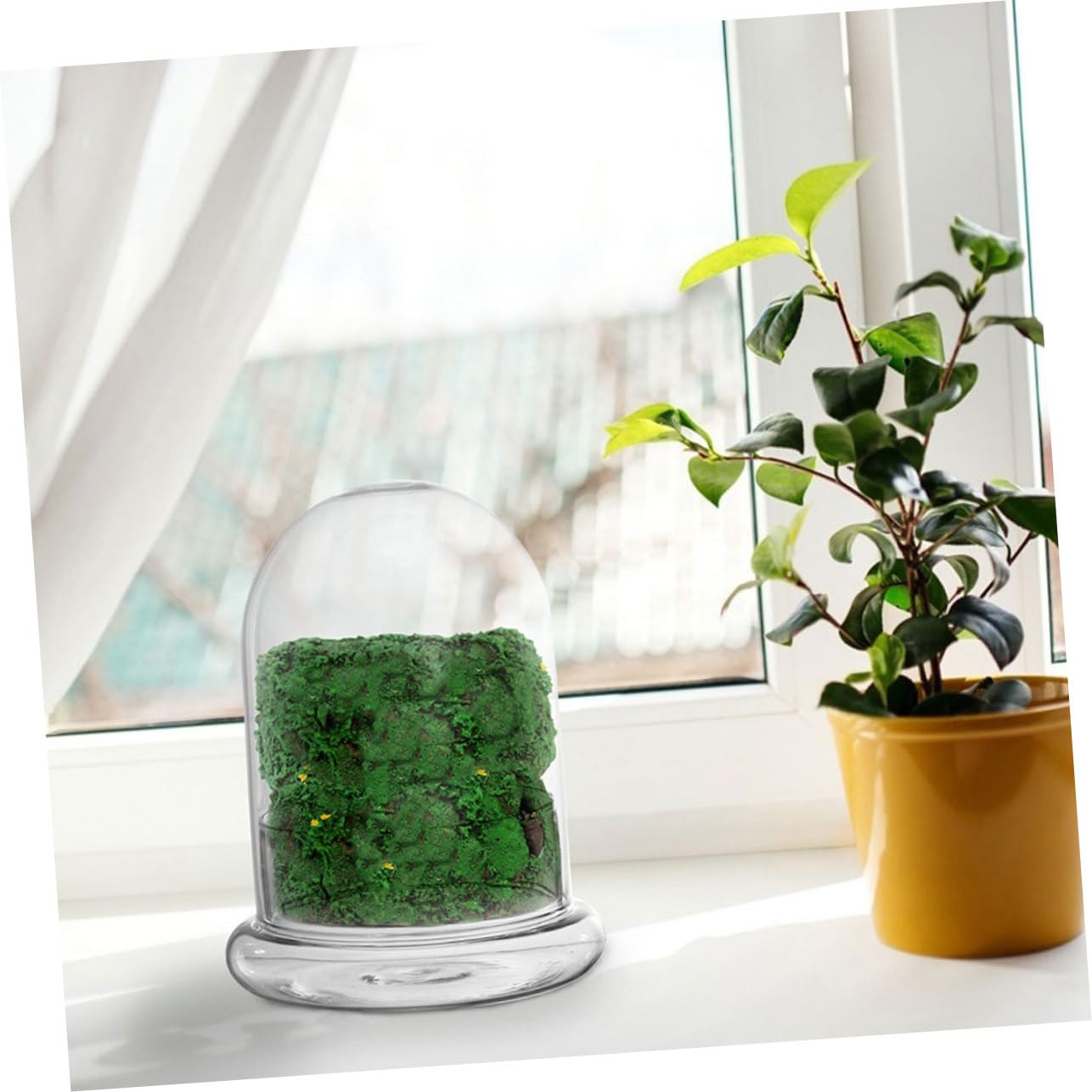 Terrario Micro Paesaggio DIY in Vetro, per Piante e Fiori
