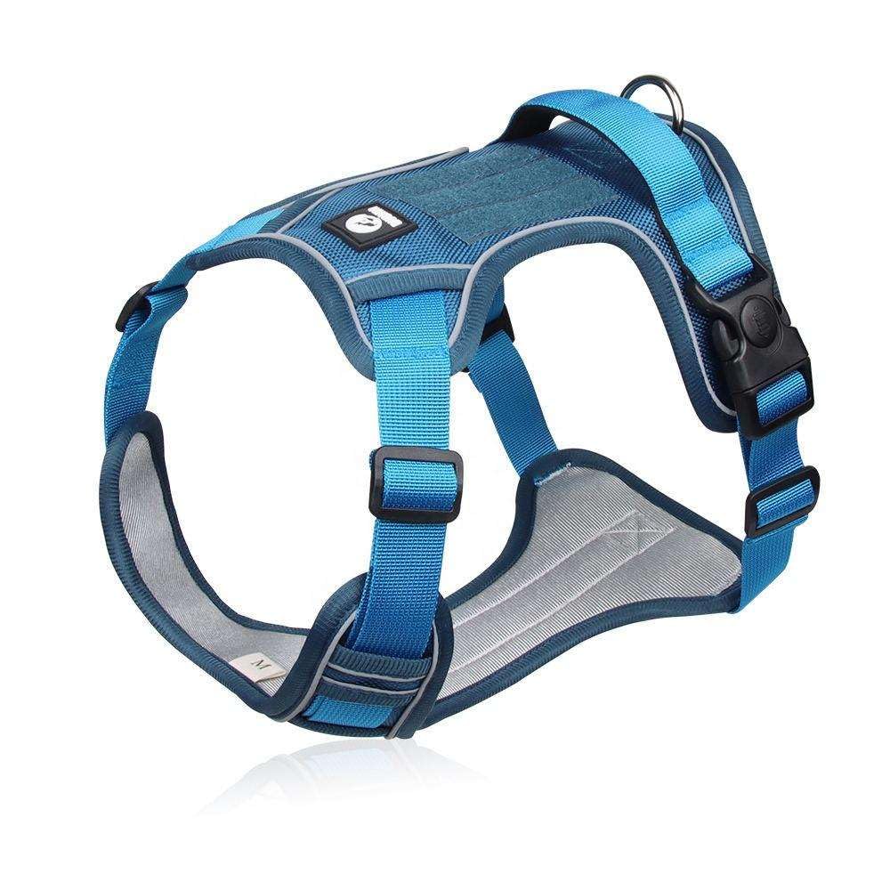 See full amazon price history chart for Berlins Nylon Dog Harness, No-Pull Dog Strap Pet Safety Belt with Control Handle, Harness for Medium Dogs with Reflective Tape and 2 Connecting Rings (Black, Red, Small (5-13KG)) Berlins Nylon Dog Harness, No-Pull Dog Strap Pet Safety Belt with Control Handle, Harness for Medium Dogs with Reflective Tape and 2 Connecting Rings (Black, Red, Small (5-13KG)) (B0DBJ8QRK2) Amazon Price History, Amazon Price Tracker
