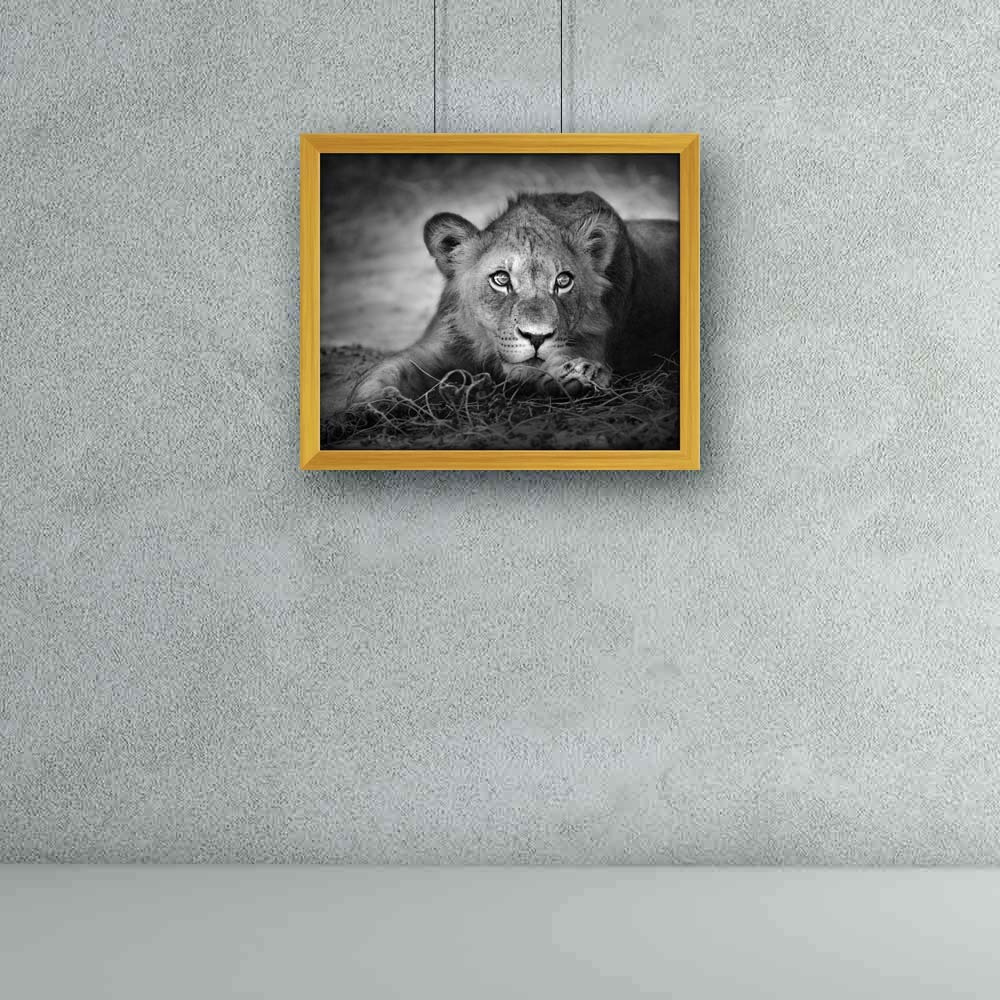 ArtzFolio Lion Panthera Leo Tabletop Painting Golden Frame 11.8 x 10 inch (30 x 25 cms)