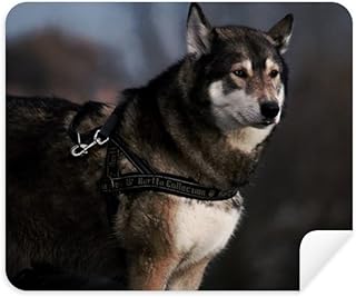 Dog Husky Animal Lonely Night Cleaning Cloth Screen Cleaner 2pcs Suede Fabric