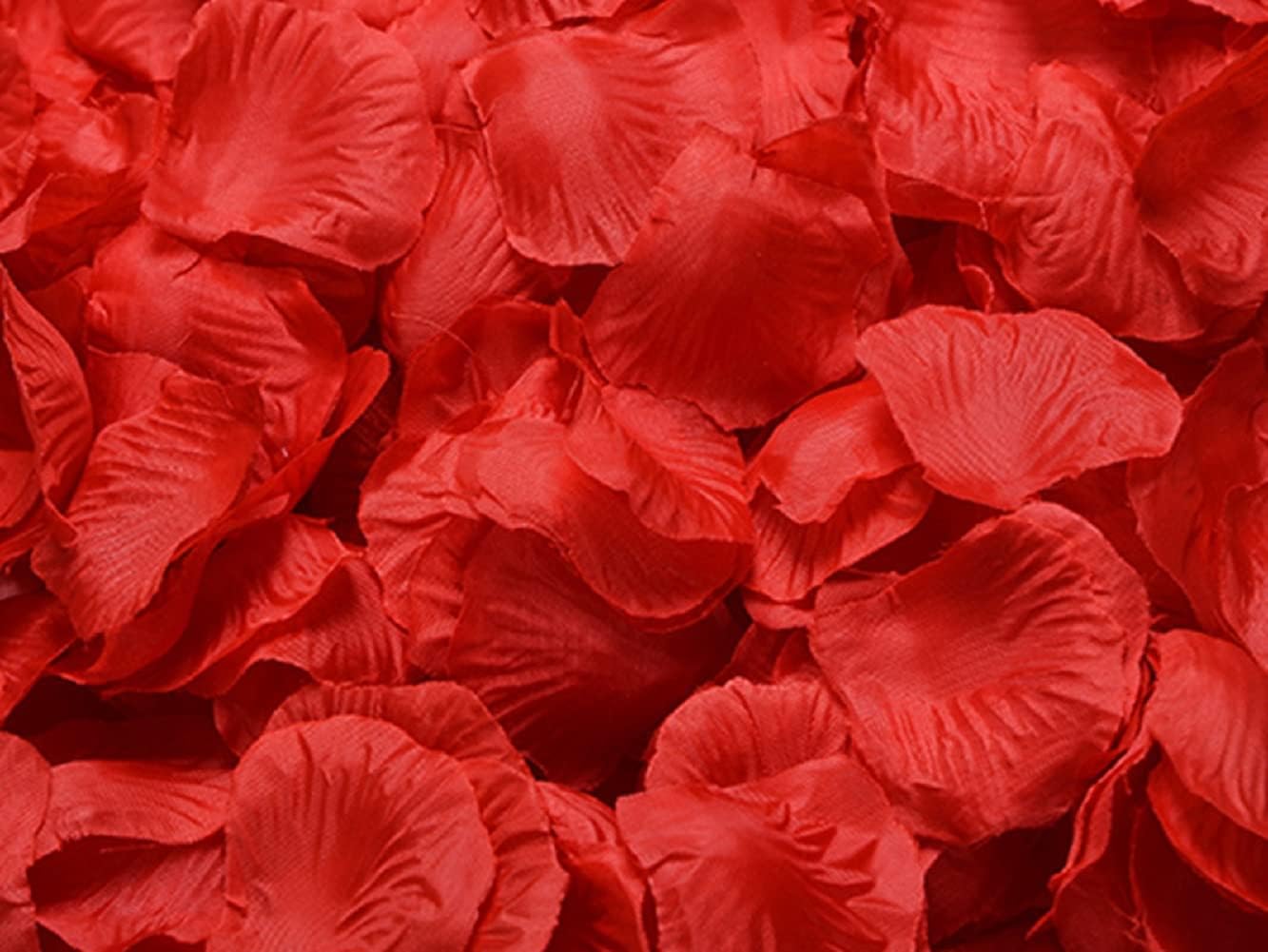 1000 Pieces Red Rose Petals, 20 Colours, Artificial Flower Confetti, Home Decorative Accessories, Ideal for Valentine’s Day Wedding Engagement Birthday Party Romantic Decoration