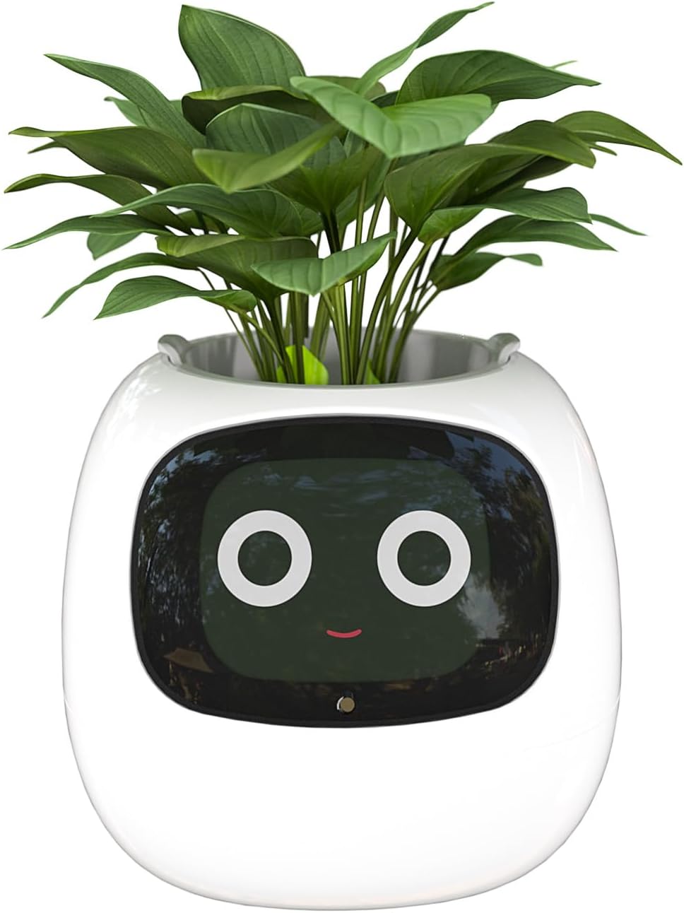 AMPULLA Ivy - Smart Flowerpots, Endless Fun Over 70 Rich Expressions, 7 Smart sensors, and AI Chips Make Raising Plants Easy and Fun. (White)