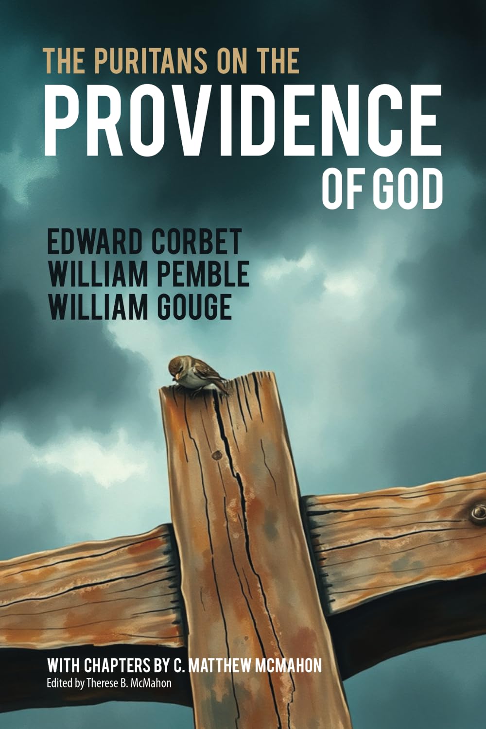 The Puritans on the Providence of God