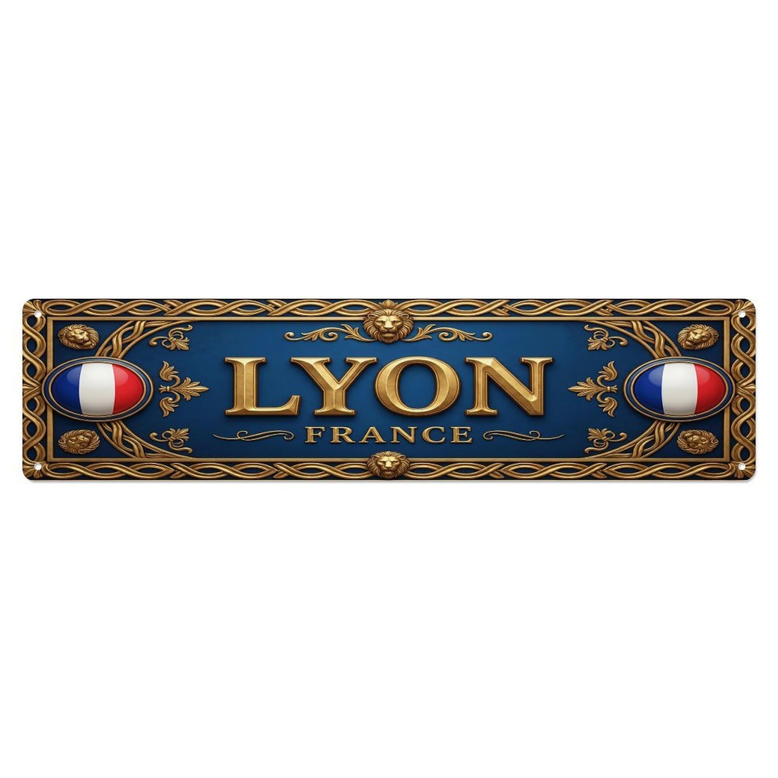 Olhnbad 4X16inch(10X40cm) Vintage Lyon France Flag Pattern Metal Tin Sign