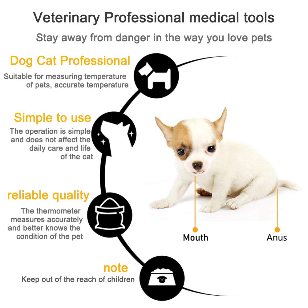 How Do You Take A Dogs Temperature By Mouth