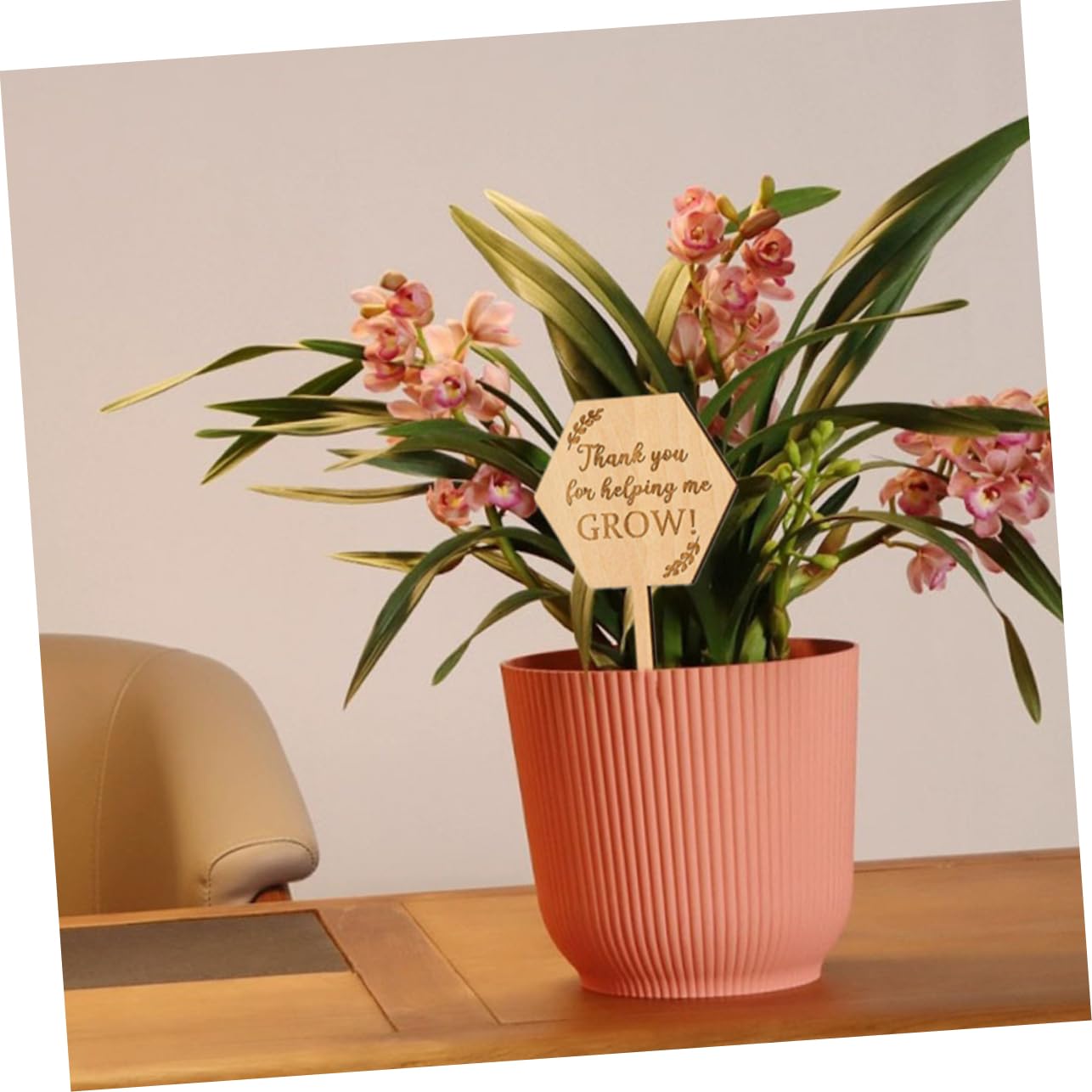 BESPORTBLE 5 Sätze Pflanzenetiketten Beschriftbare Pflanzenschilder Für Garten Blumenbeete Töpfe Für Innen Und Außenbereich Einsteckbar Tragbar 20 Stück * 5