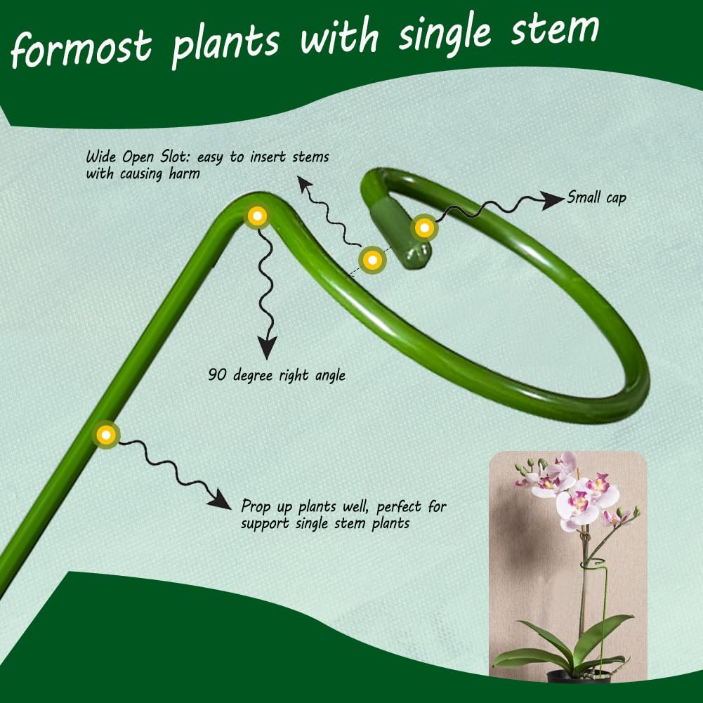 Teenfa 9 PCS 45cm Metal Plant Support Stakes, Single Stem Hoop Flower Supports - Image 4