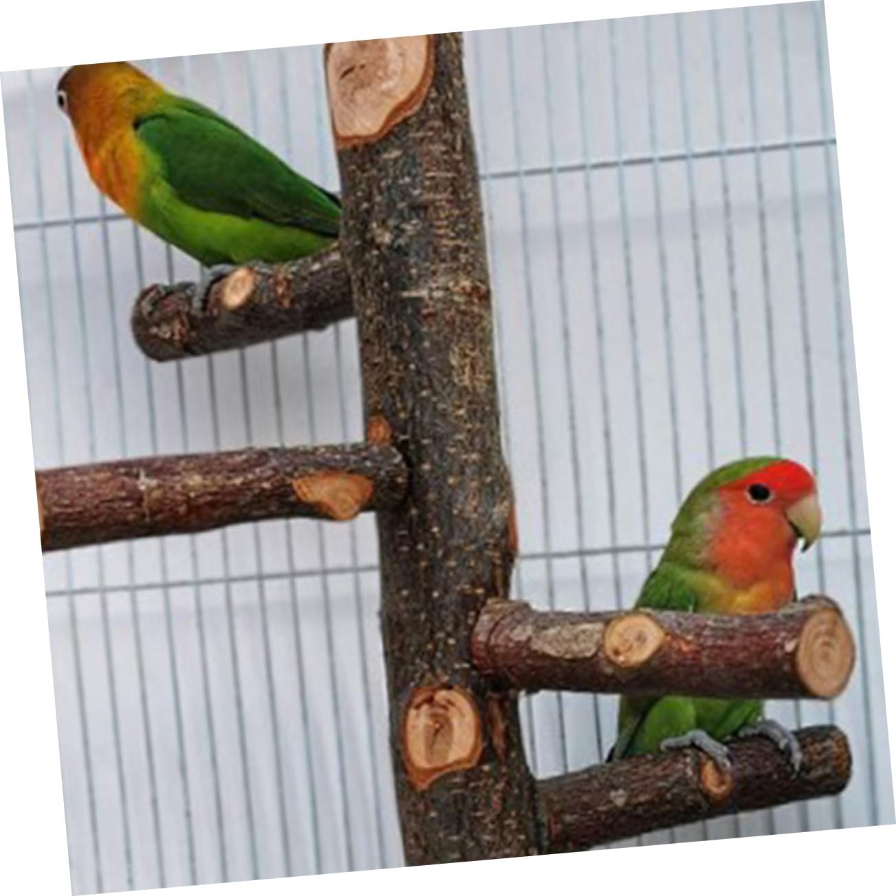 BESPORTBLE 2ensembles Perchoir à Oiseaux Naturel Support De pour Cage Accessoire De Perchoir pour Perroquets Et Petits Oiseaux Stabilité Et Confort Assurés Moyenne