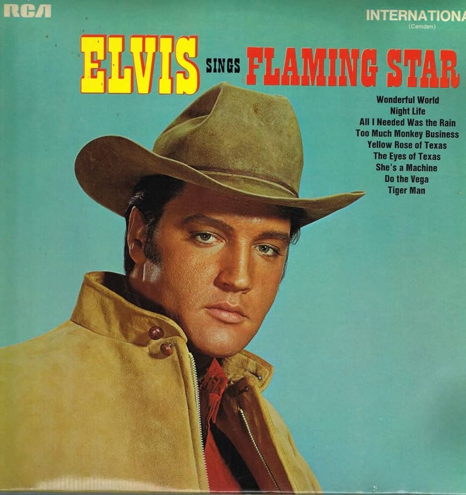 ★ The Flaming Stars レコード LP 617rx5x2bYL._UF1000,1000_QL80_.jpg