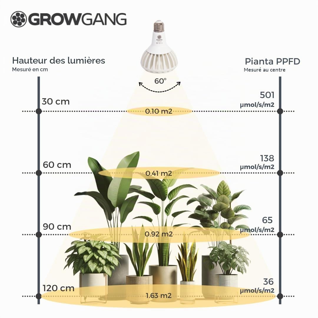 Pianta Lampes de croissance pour plantes d'intérieur – Ampoule LED à spectre complet, Horticole, lampe de croissance d'intérieur pour cultiver des plantes grasses, Germination, E27, PPF μmol/s 33,1.