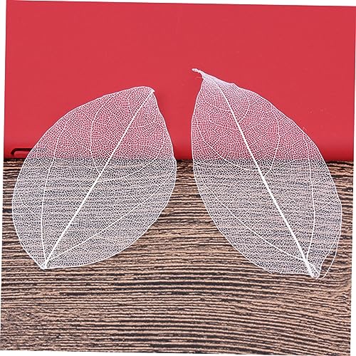 6pcs hojas secas naturales blancas para manualidades miniatura 6